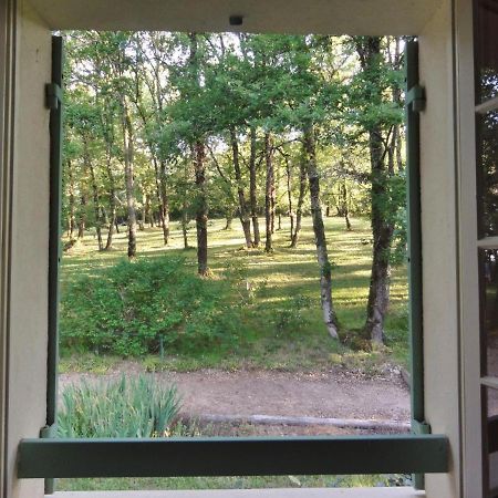 Les Feuillantines Perigord Noir Bed & Breakfast Saint-Cyprien  Exterior foto