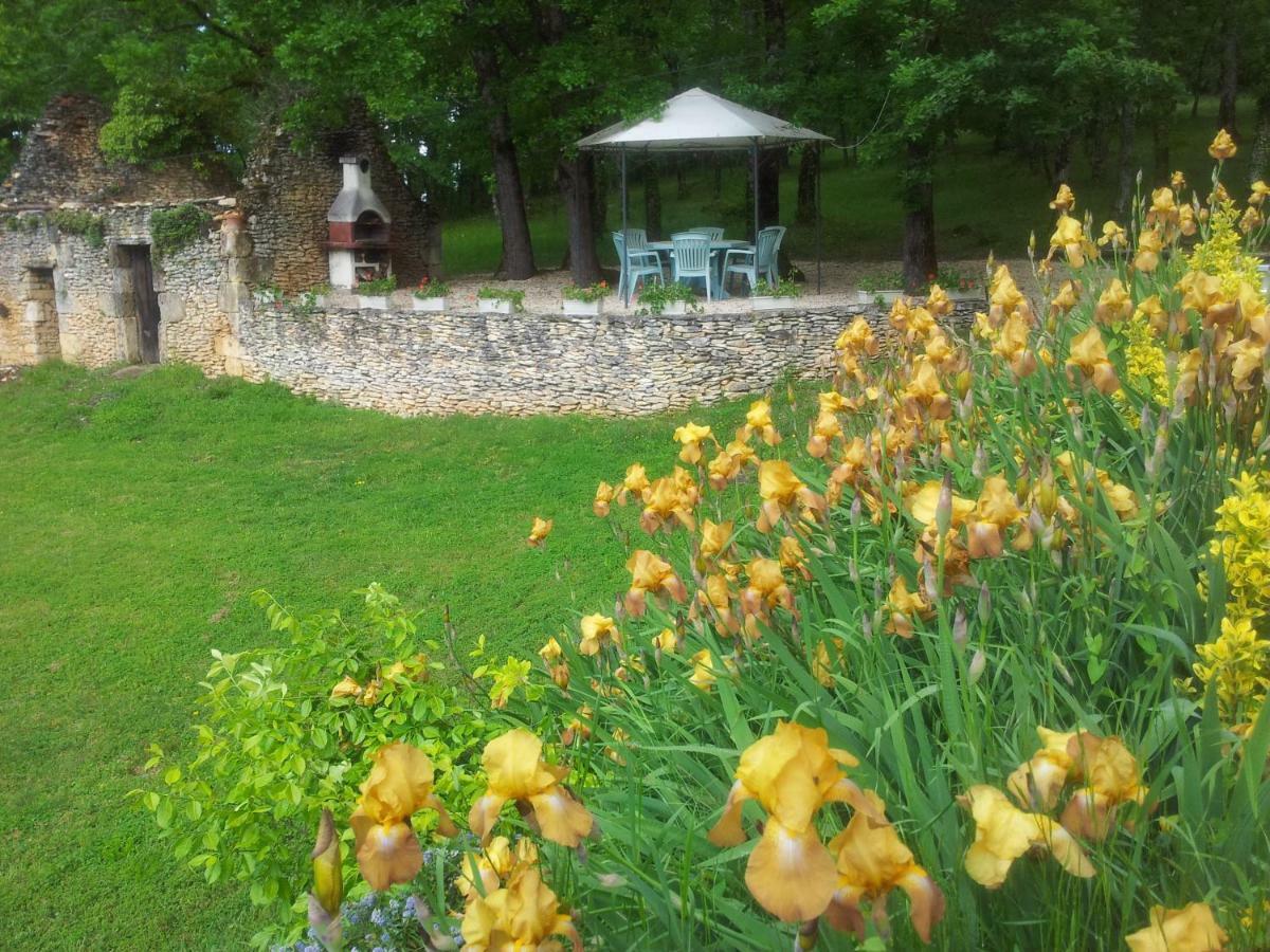 Les Feuillantines Perigord Noir Bed & Breakfast Saint-Cyprien  Exterior foto