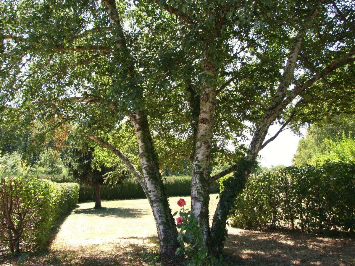 Les Feuillantines Perigord Noir Bed & Breakfast Saint-Cyprien  Exterior foto